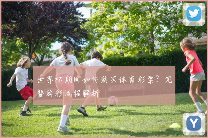 世界杯期间如何购买体育彩票？完整购彩流程解析