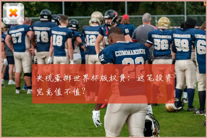 央视豪掷世界杯版权费:这笔投资究竟值不值?