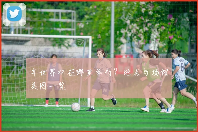 年世界杯在哪里举行?地点与场馆美图一览