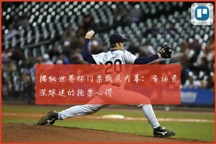 揭秘世界杯门票购买内幕：专访资深球迷的抢票心得