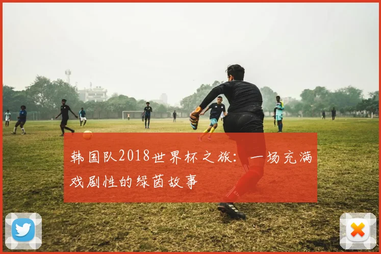 韩国队2018世界杯之旅：一场充满戏剧性的绿茵故事