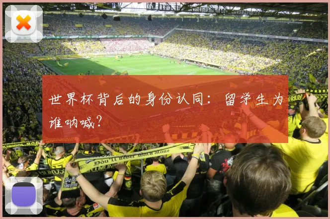 世界杯背后的身份认同：留学生为谁呐喊？