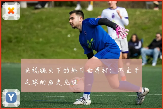 央视镜头下的韩日世界杯:不止于足球的历史见证