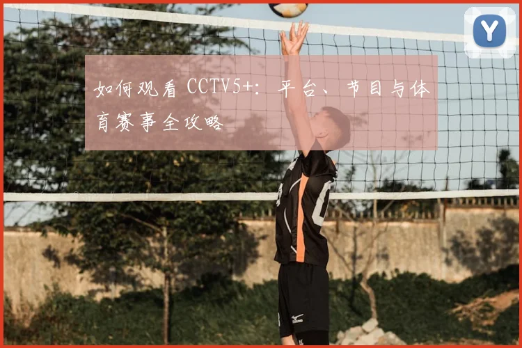 如何观看 CCTV5+：平台、节目与体育赛事全攻略