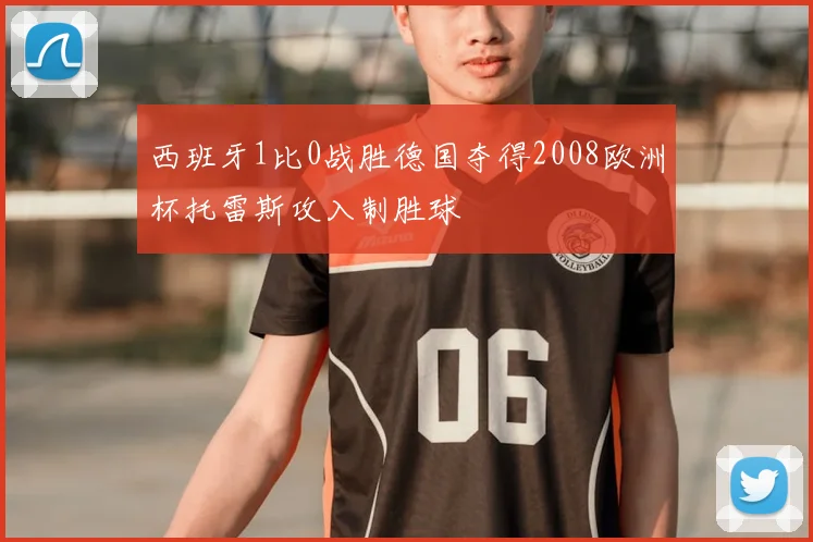 西班牙1比0战胜德国夺得2008欧洲杯托雷斯攻入制胜球