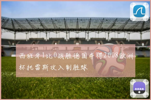西班牙1比0战胜德国夺得2008欧洲杯托雷斯攻入制胜球