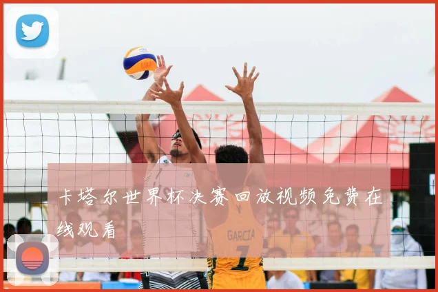 卡塔尔世界杯决赛回放视频免费在线观看