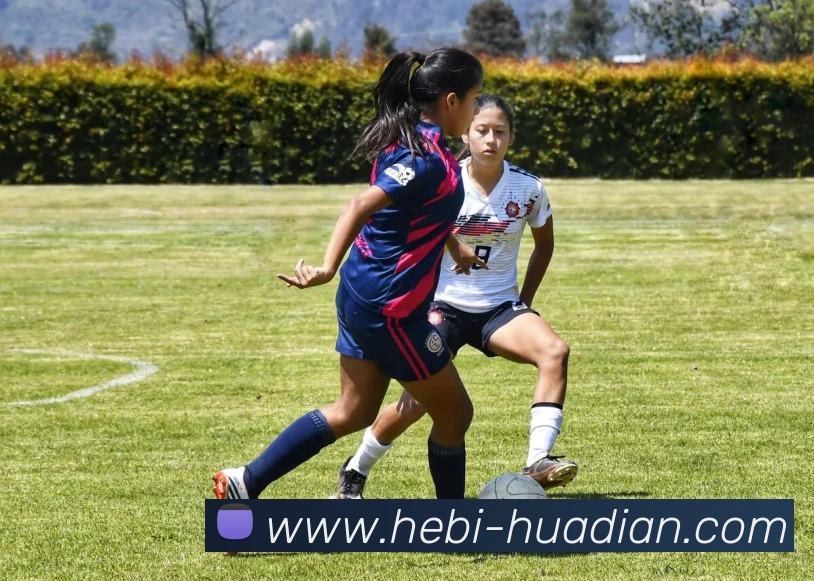 开云综合app官网登录APP 体育赛事宣传图